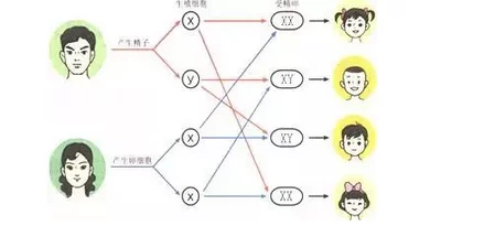 中文亲孑伦XX Xⅹ：震撼全国！新研究揭示亲子关系的巨大影响，颠覆你对家庭的看法！