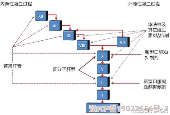 xaxmantauzunhaydetail：深入分析xaxmantauzun的独特魅力与文化背景，揭示其在当代社会中的重要性和影响力