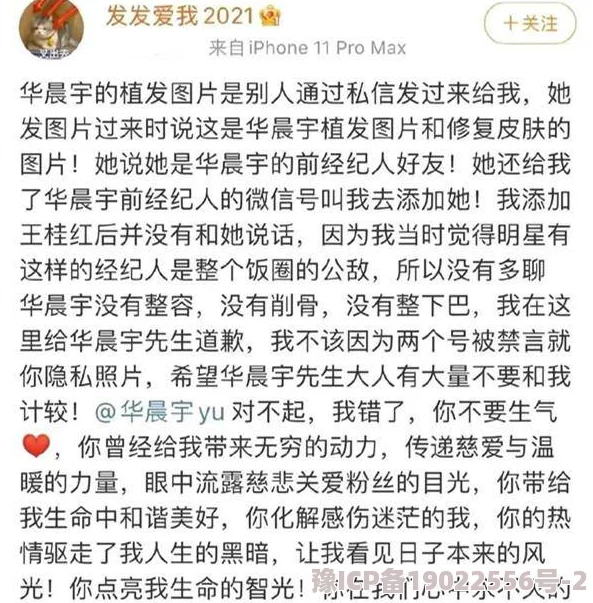 今野由爱毛片在线播放：最新动态引发网友热议，背后故事令人关注与思考