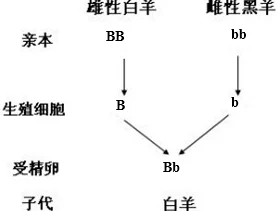 四川WWB搡BBBB槡BBBB：最新进展揭示了事件背后的深层次原因与影响，值得关注的细节逐渐浮出水面