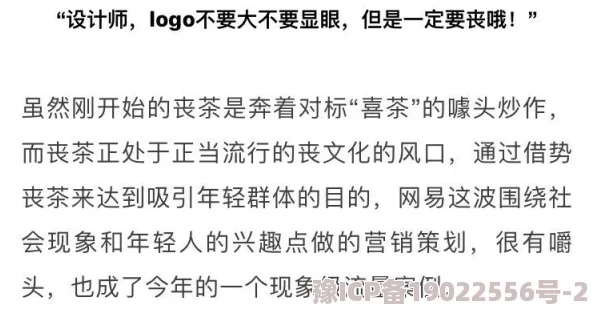 叼嗨：一种新兴的社交文化现象及其对年轻人生活方式的影响研究