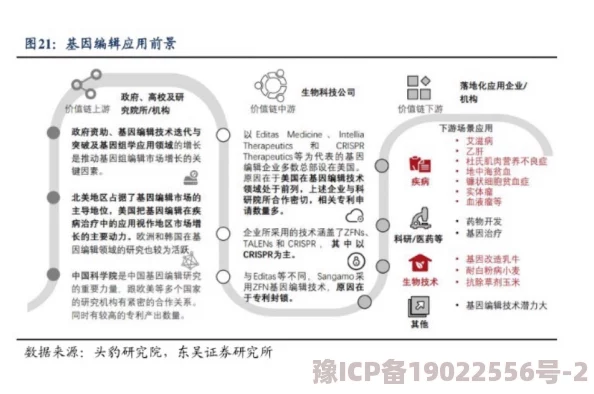 亚州1区2区3区4区产品乱码2021：最新技术进展与市场反应分析，助力企业提升竞争力与用户体验