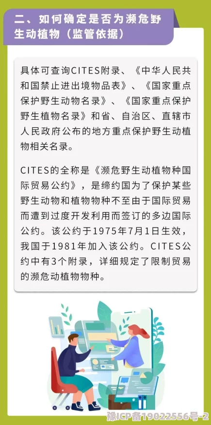 囯产嘼皇bestiality引发社会热议，专家呼吁加强法律监管与道德教育以保护动物权益和维护社会风气