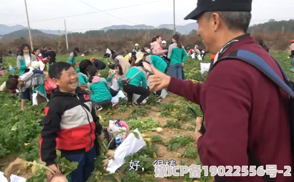 旅行者和丽莎拔萝卜视频：一场充满乐趣与惊喜的田园冒险，带你领略乡村生活的独特魅力与欢乐时光