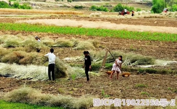 儿耕妈荒废的田，邻居传闻她与富商私情惊人，引发村民热议