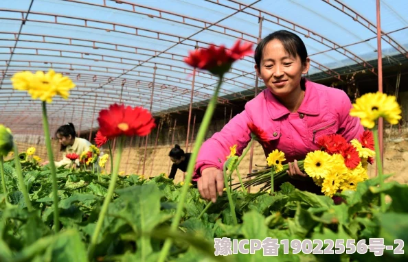 乌克兰精品摘花处处破，数万农民因战争失业，鲜花产量骤降至历史新低！